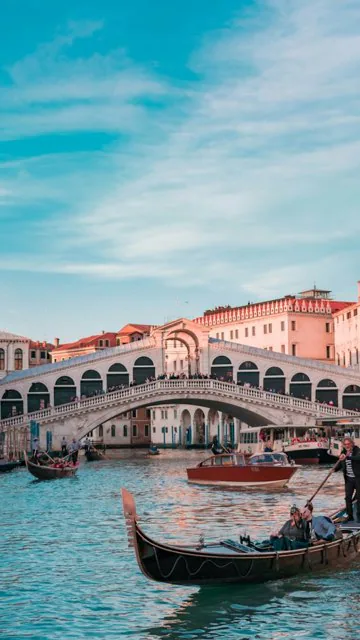 Venice reel